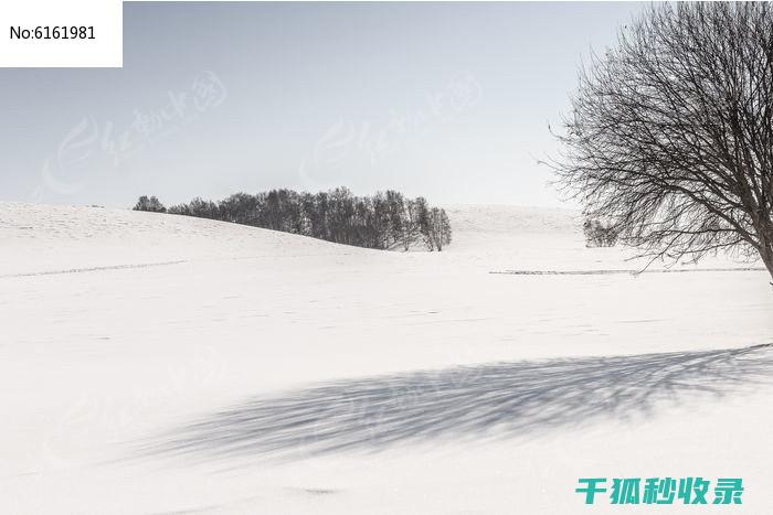 雪天防滑小贴士：让你不再滑倒受伤 (雪天防滑小贴纸图片)