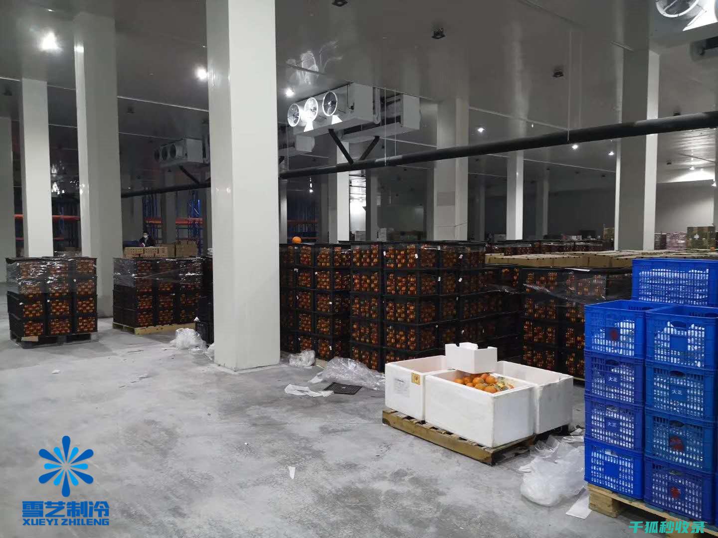 水果保鲜新招数：防止苹果氧化的方法 (水果保鲜方案)