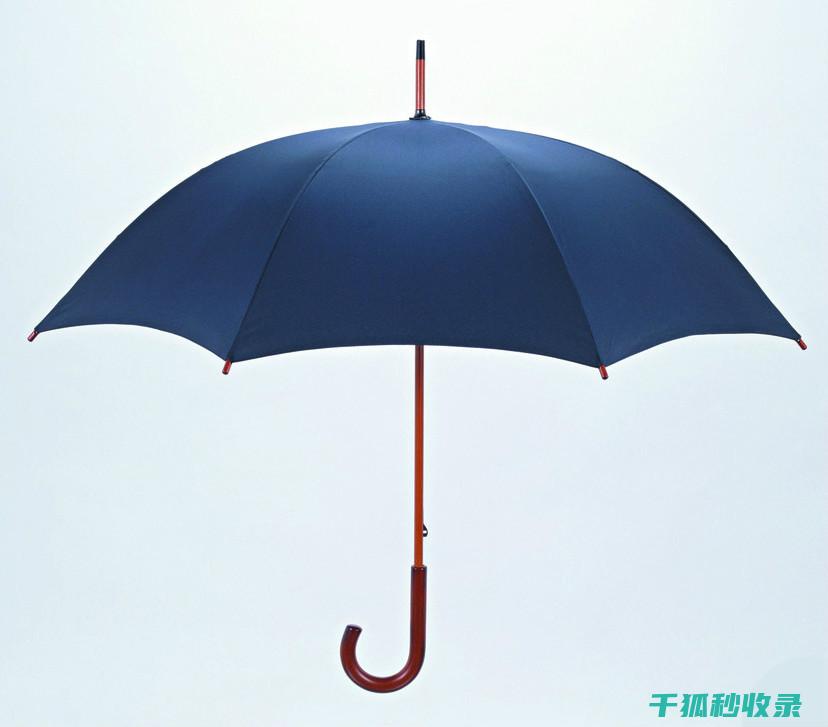 雨伞除锈技巧大总结：让你的雨伞重放光彩 (雨伞除锈技巧图解)